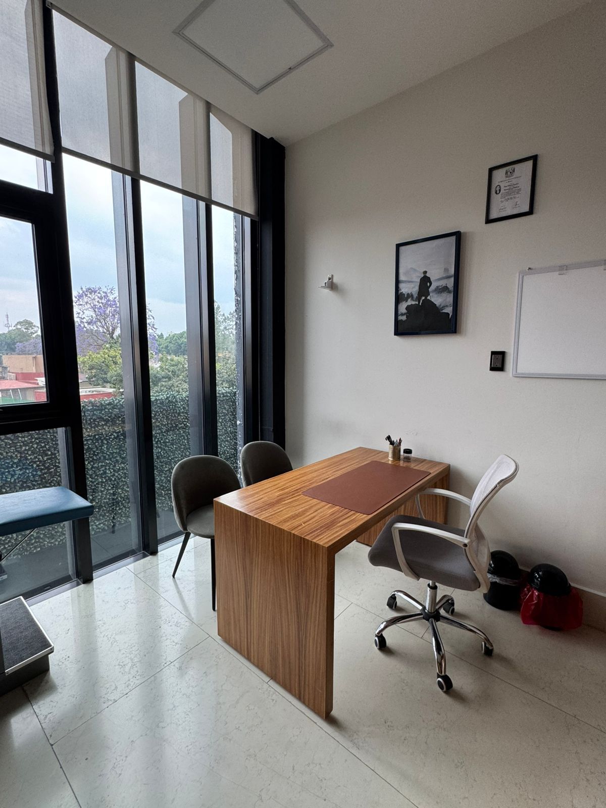 Zeltzin Soto Montes-1