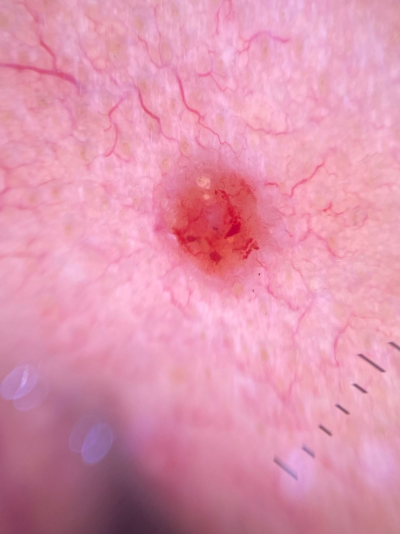 Maribel Nashyeli González Angulo-2