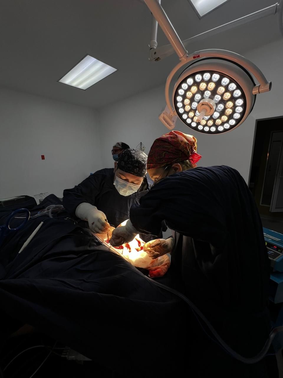 Alexandra Celis Ríos-7