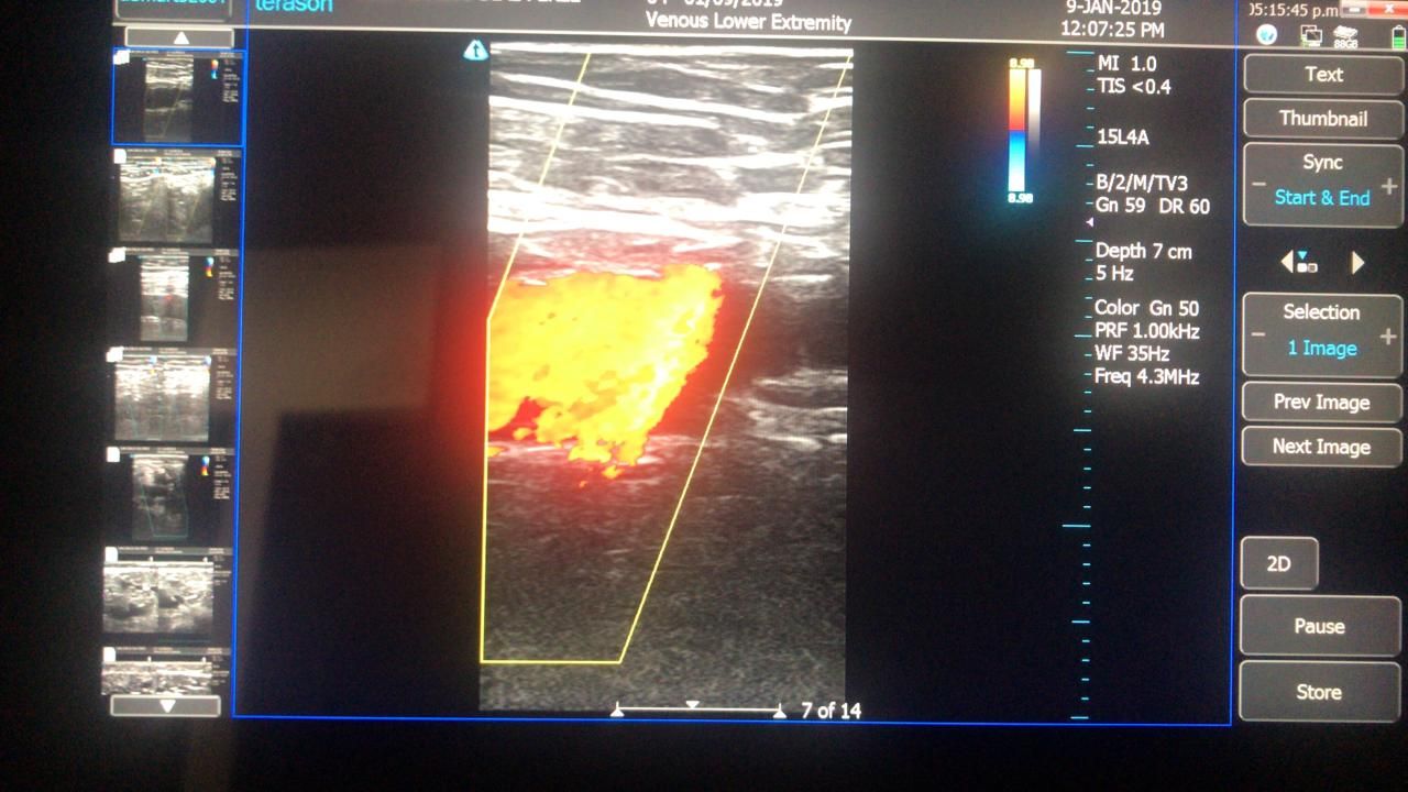 Davinia Elizabeth Sámano Saucedo-7