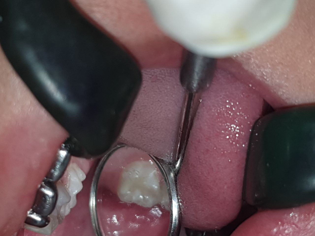 Fabiola Arcos Huesca-57