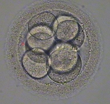 Germán Gabriel Palacios López-35