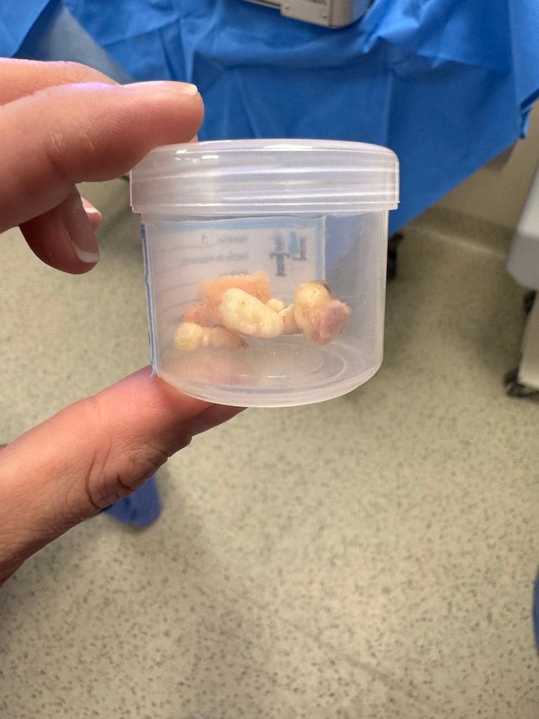 Gisela Cleto Zepeda-144