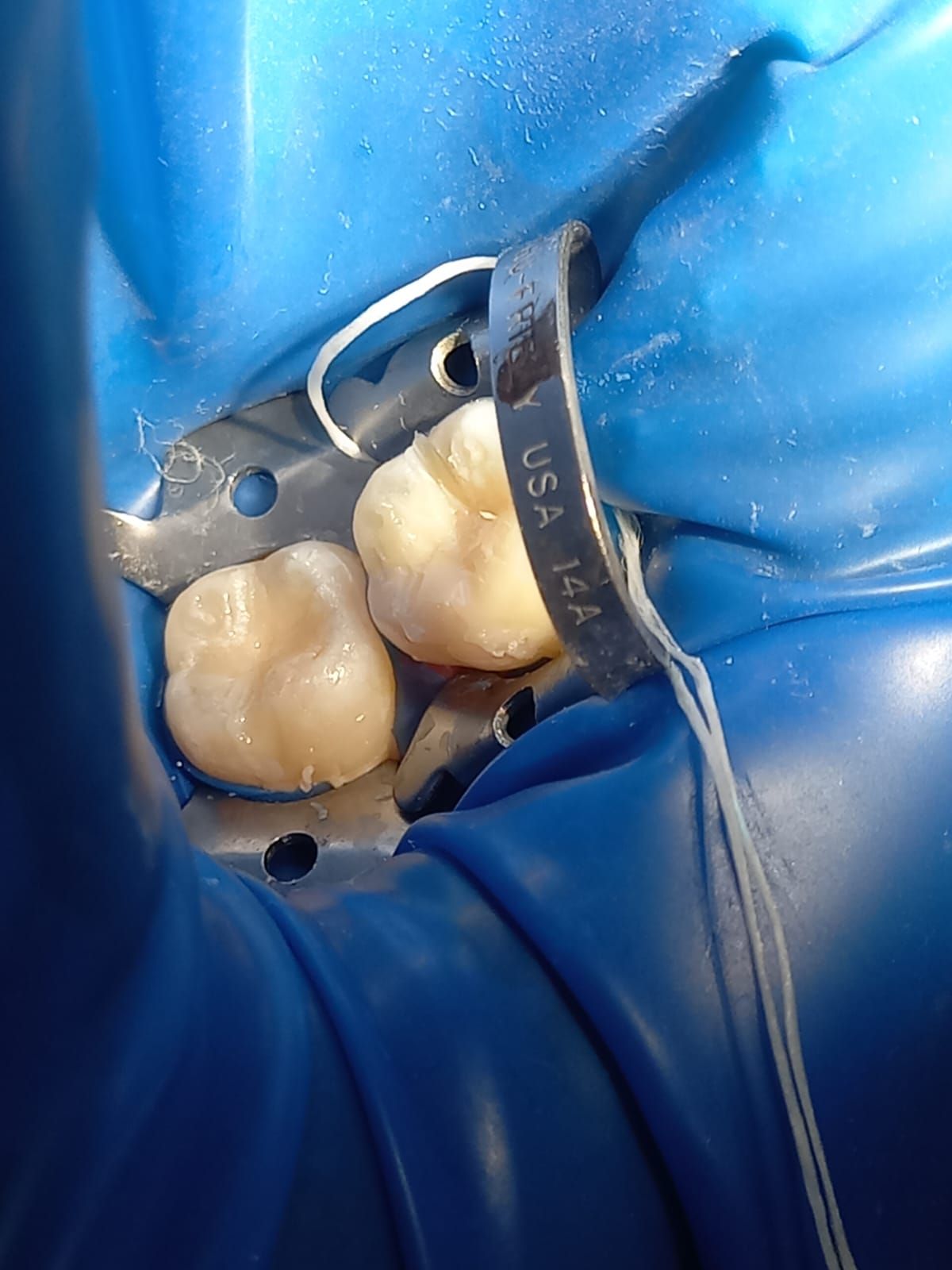 Emma Selenia Hernández Castillo-6