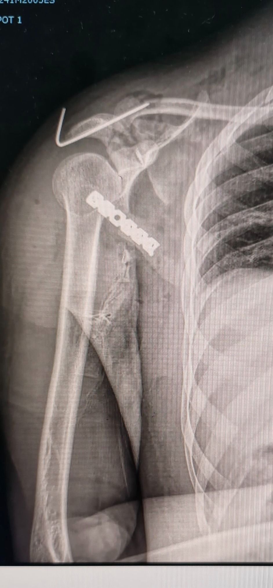 Jorge Eduardo Soto Pérez-1