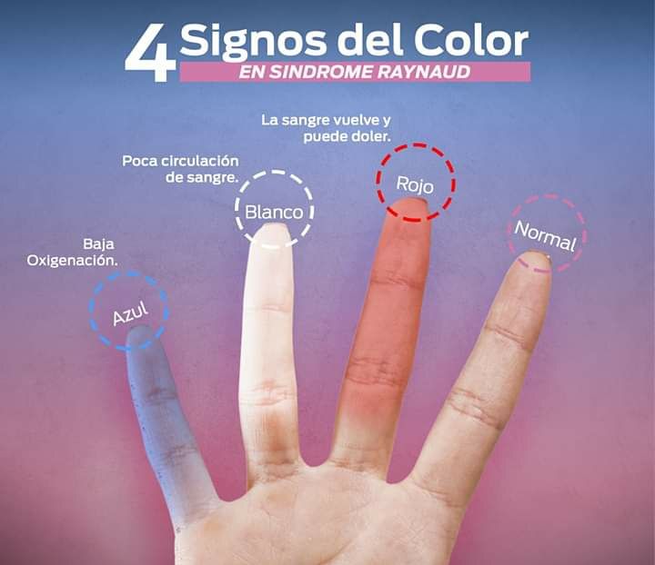 Andrés Noé Rodríguez García-38