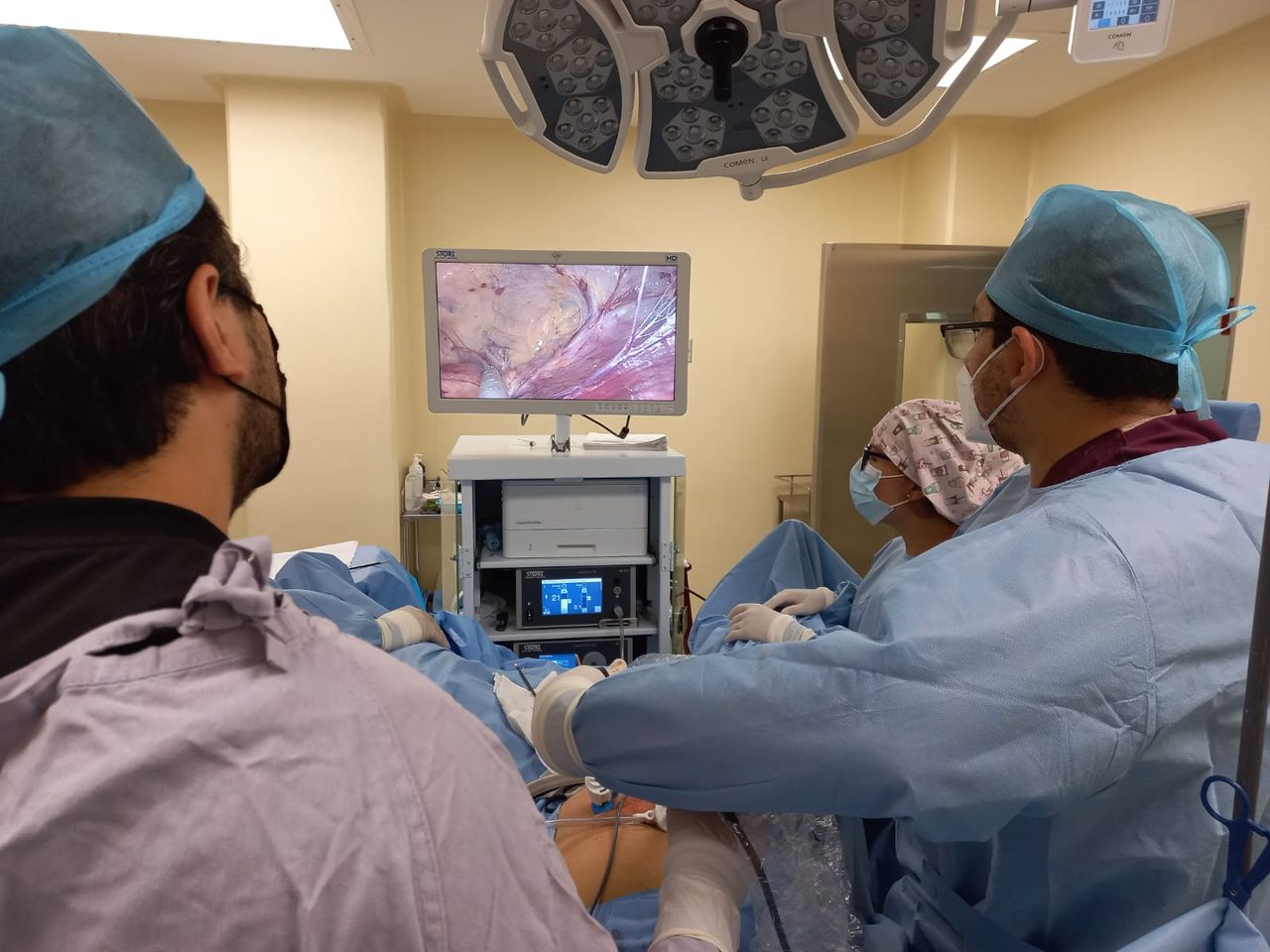 Francisco Daniel Ferreiro Olvera-5