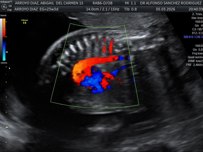 Alfonso Sanchez Rodriguez-69