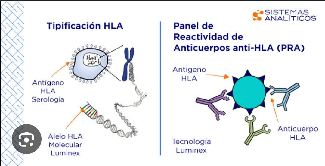 Krishna Marcos Escobar-11