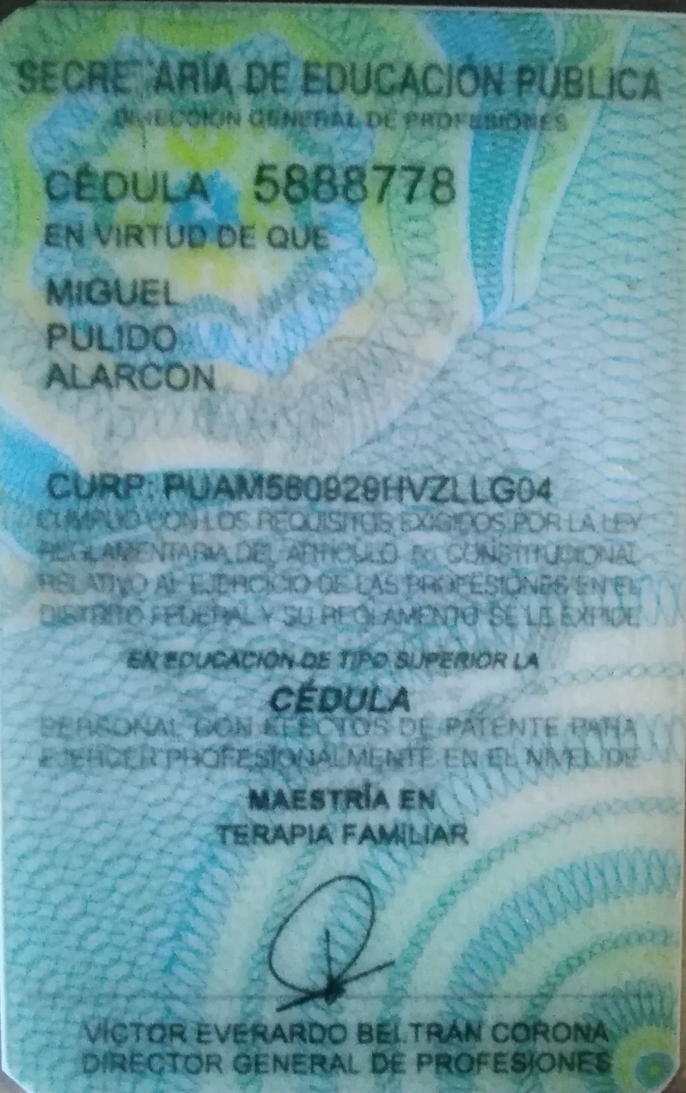 Miguel Pulido Alarcon-2