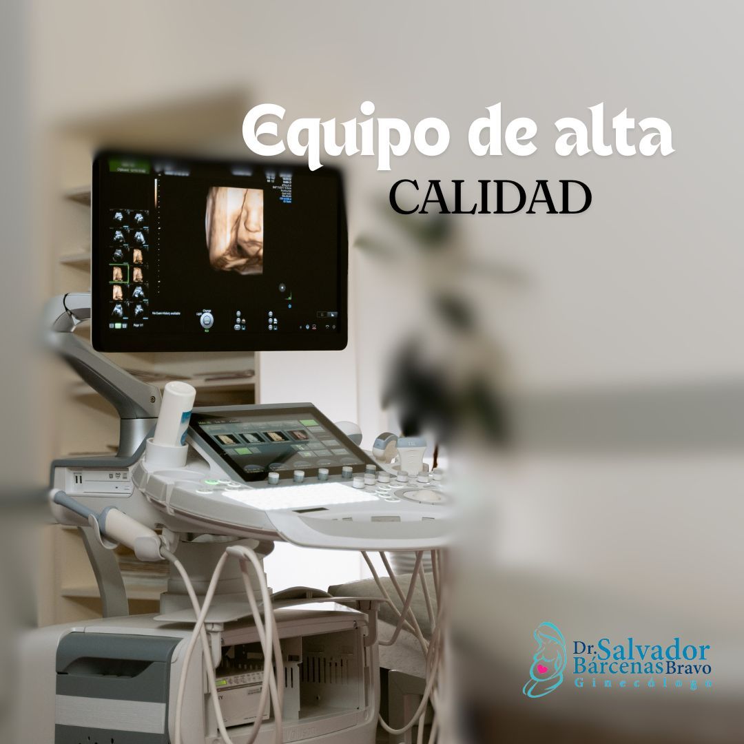 Salvador Barcenas Bravo-8