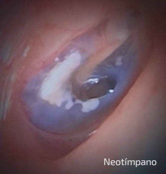 Alejandra Guadalupe Salado Leza-2