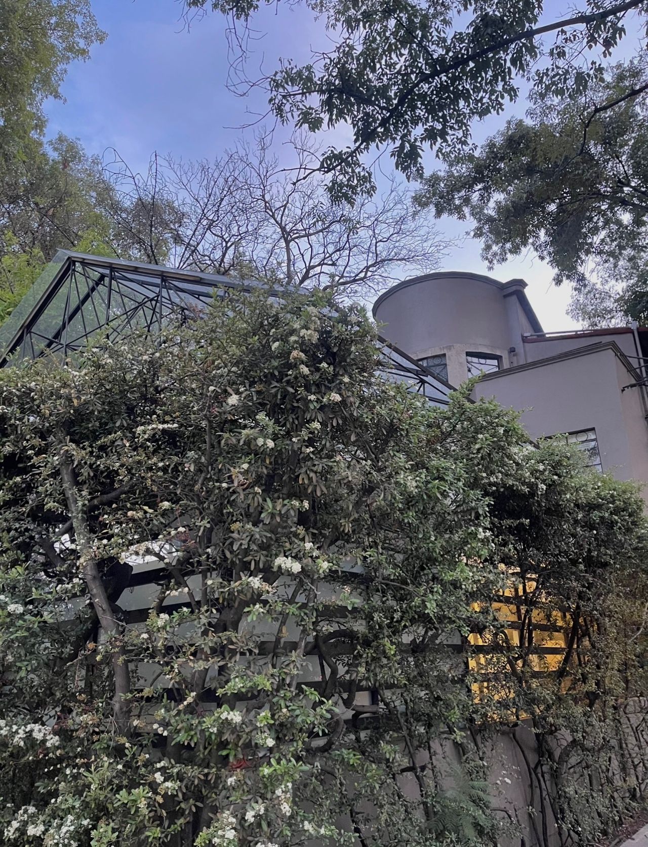 Paola Acevedo Quezada-7