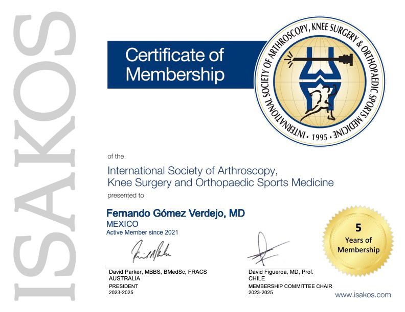 Fernando Gómez Verdejo-4