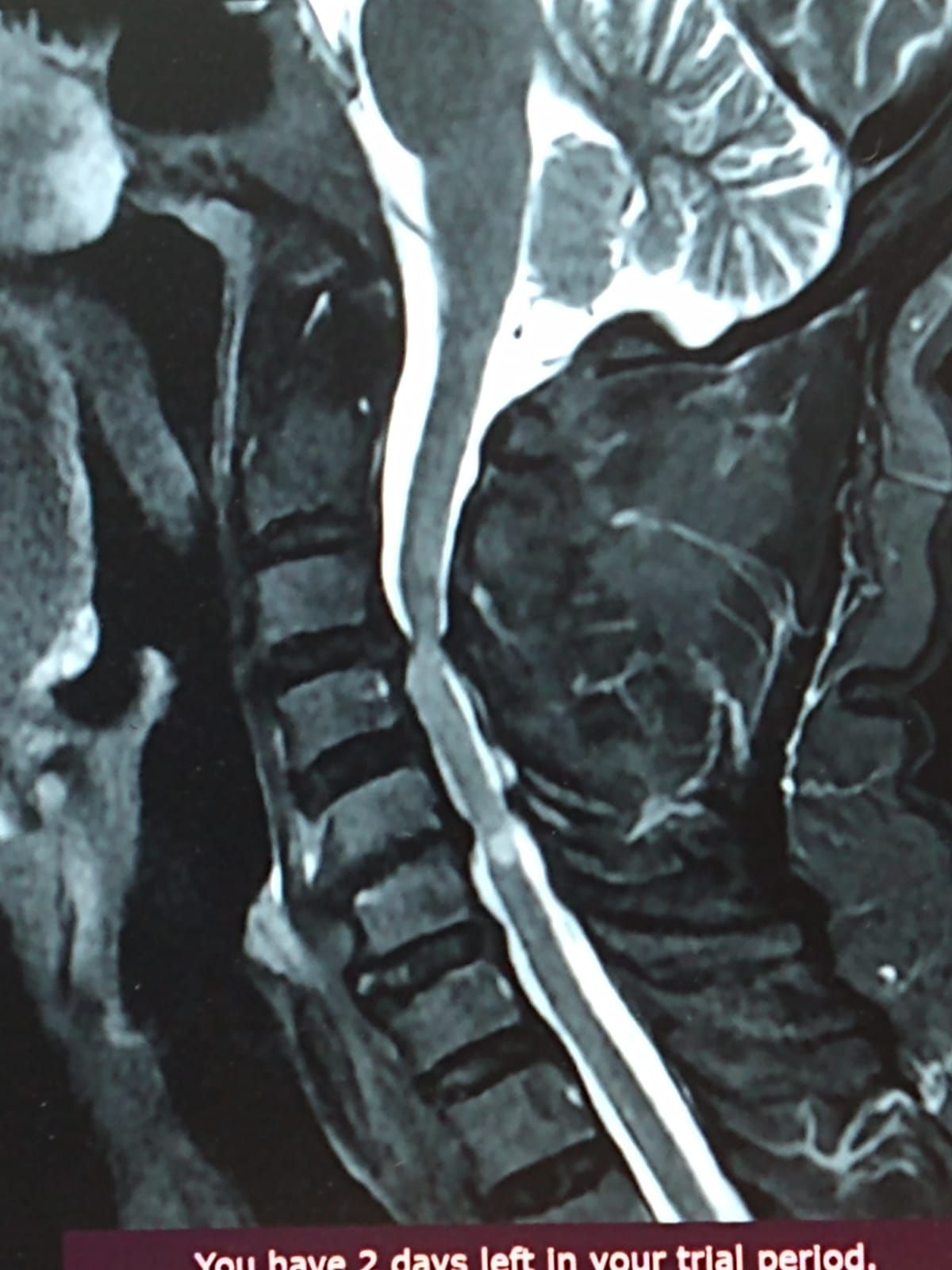 Francisco Prado Mercado-3