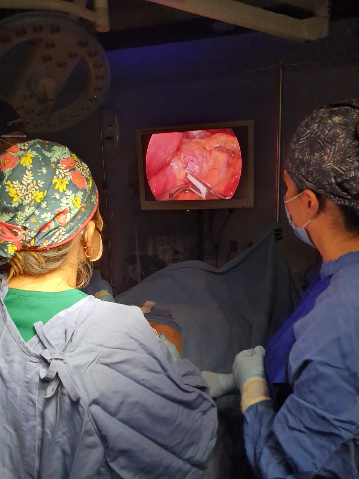 Irasema Salgado Falcón-5