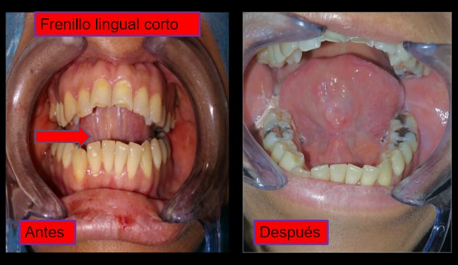 Diana Araceli Dávila Hernández-8