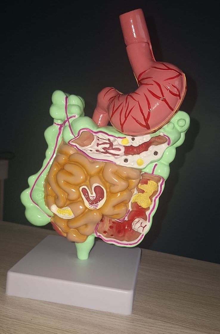 Fernando Aarón Elizarrarás Escoto-6