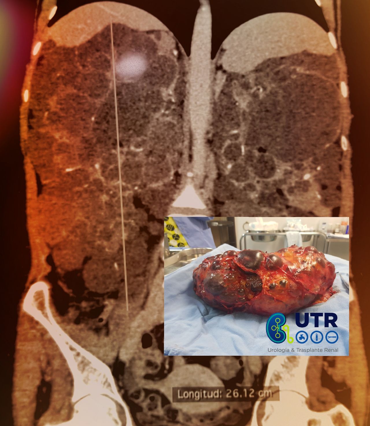 José Miguel Huerta Cervantes-10