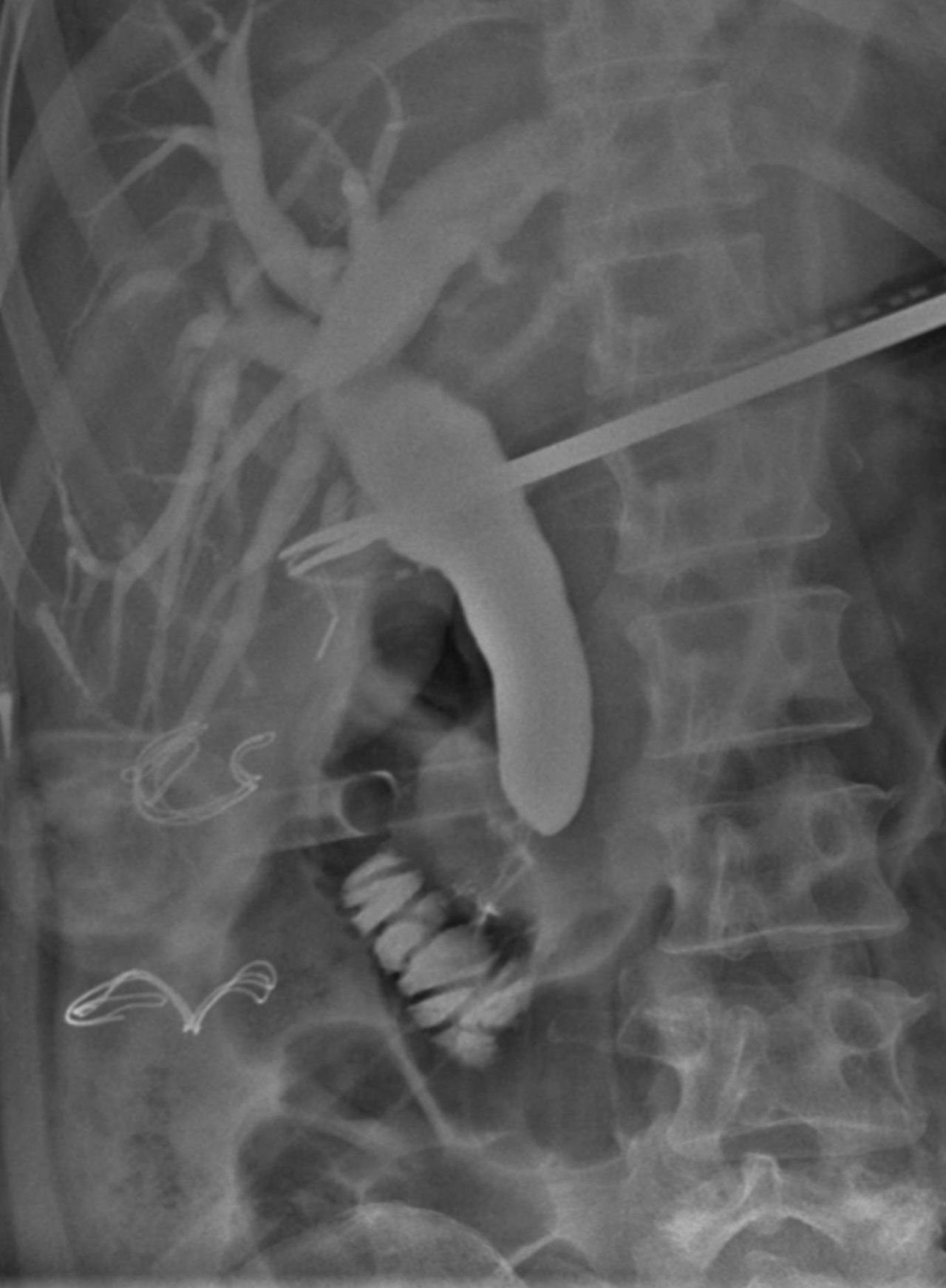 Sergio Alberto Weckmann Lujan-8