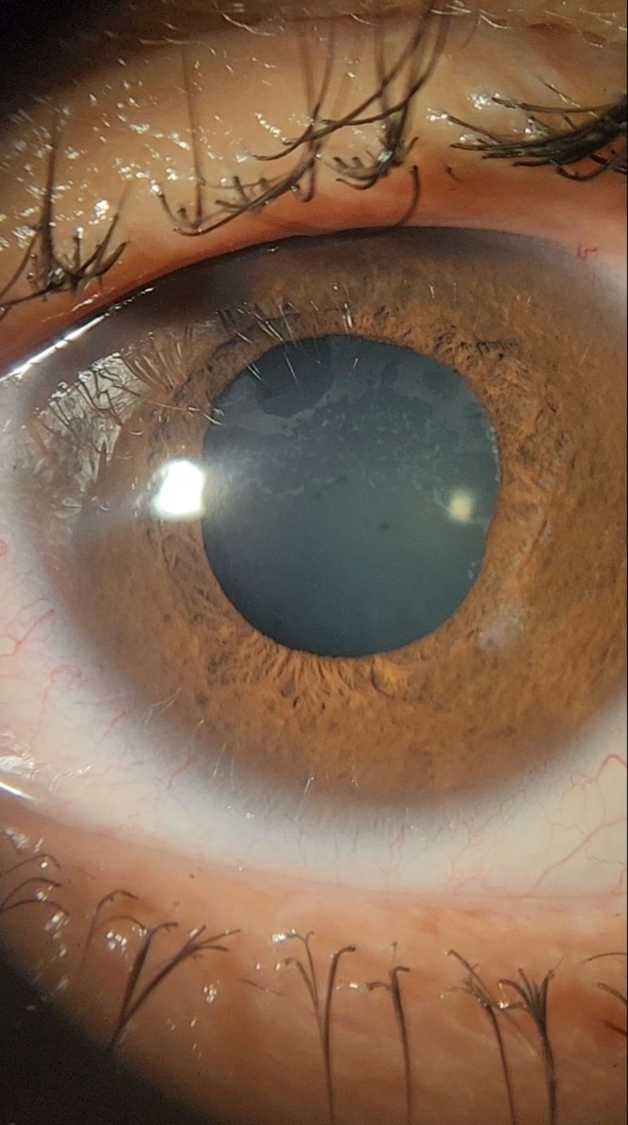 Dante Alan Guevara Villarreal-14