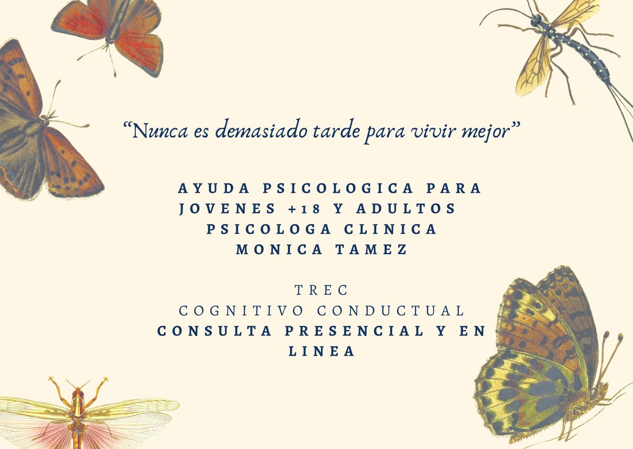 Monica A. Tamez Gutiérrez-1