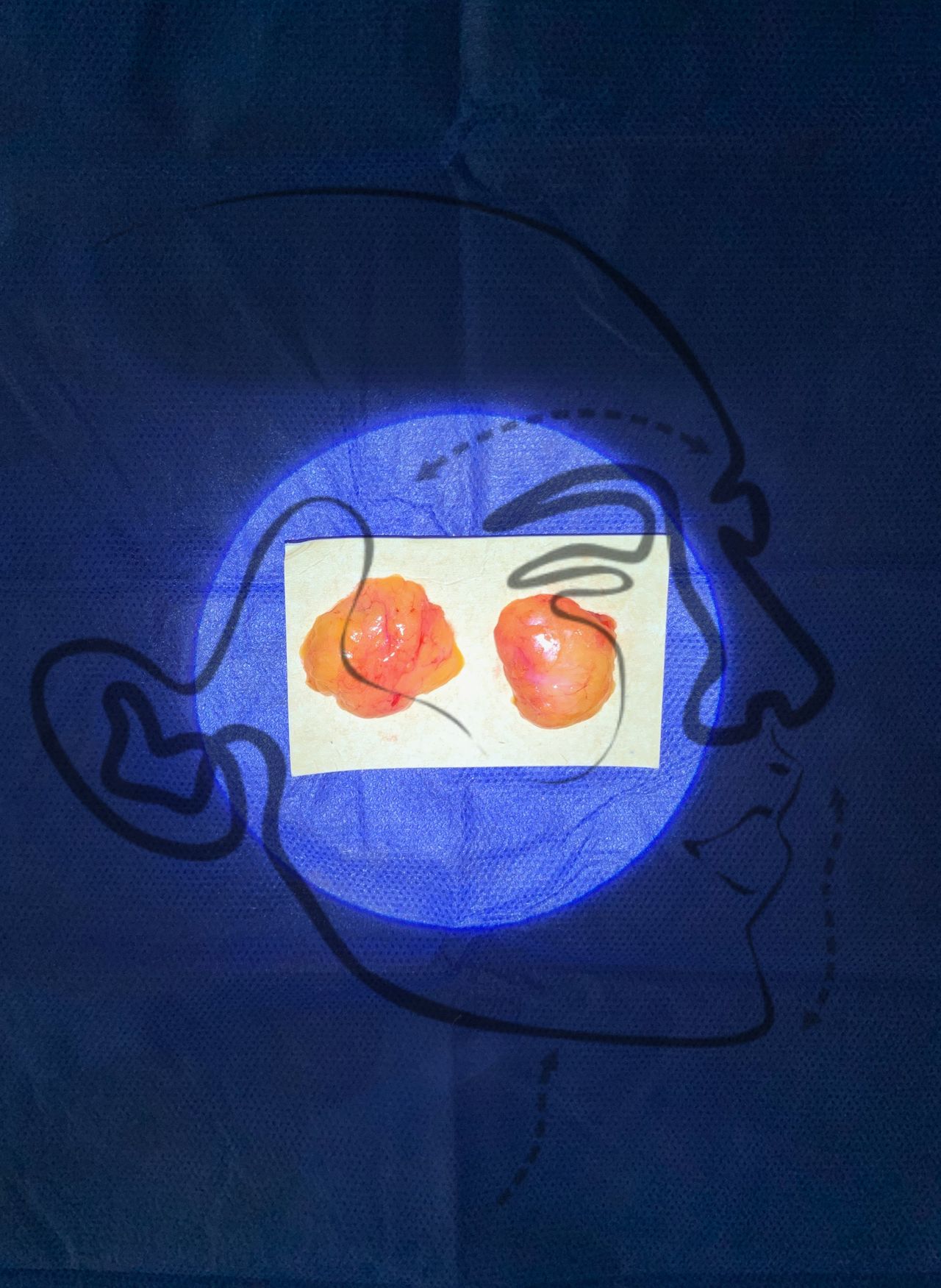 Javier Escobedo Lara-9