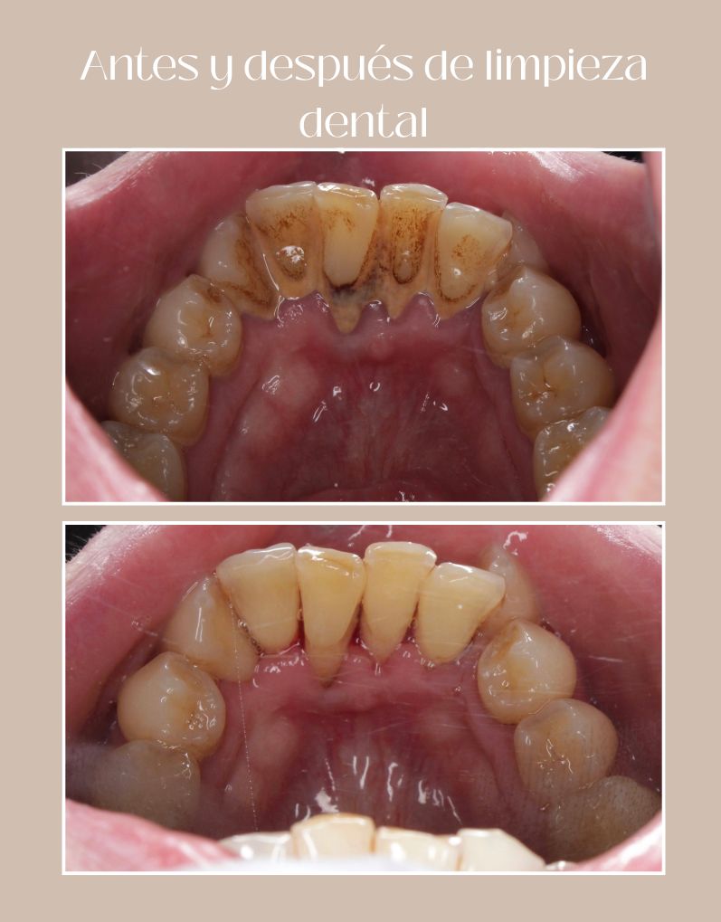 Valeria Garza Noyola-3