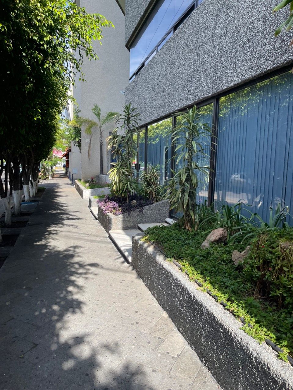 David José Luis Martínez Becerra-0