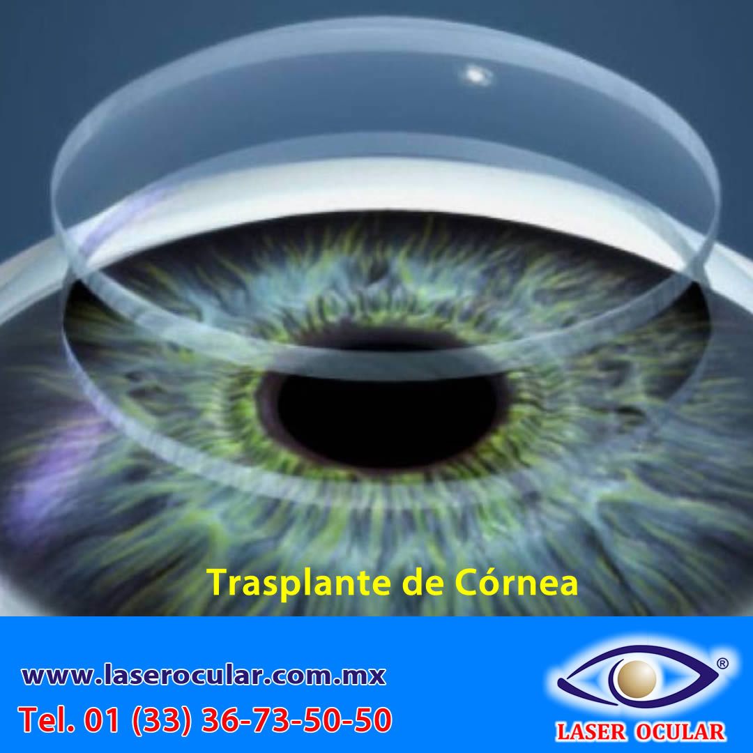 José Luis Salinas Gallegos-28