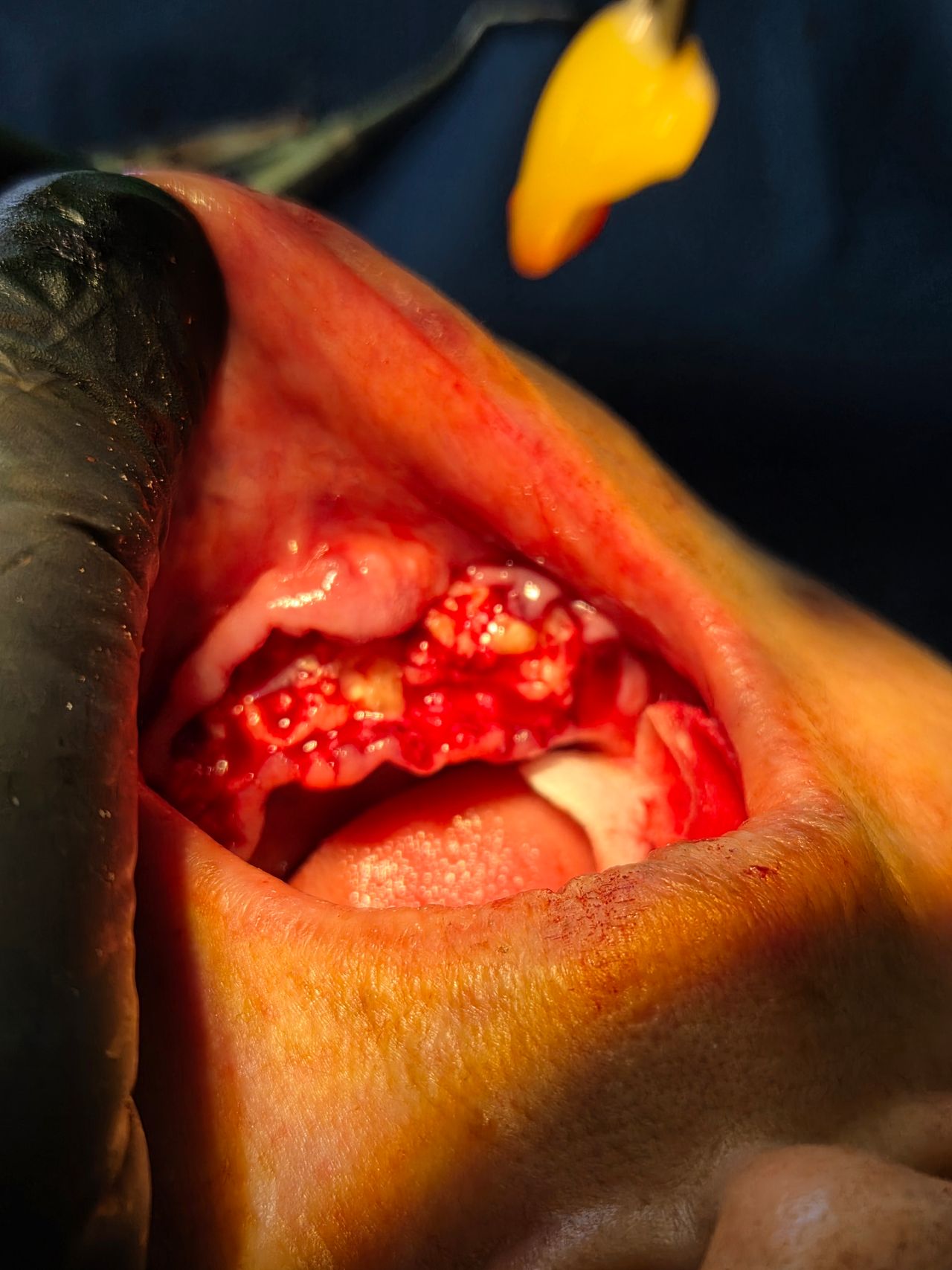 Verónica Nallely Gómez Mesa-0