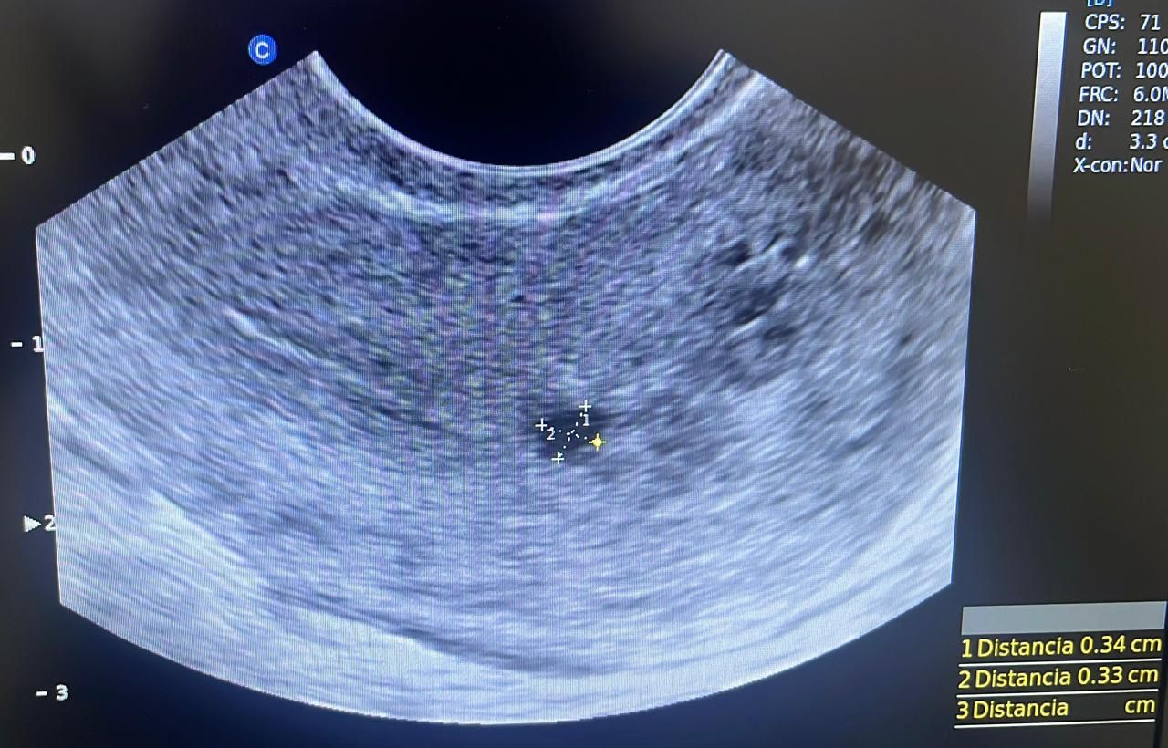 Sandra Faviola Dávila Molina-4