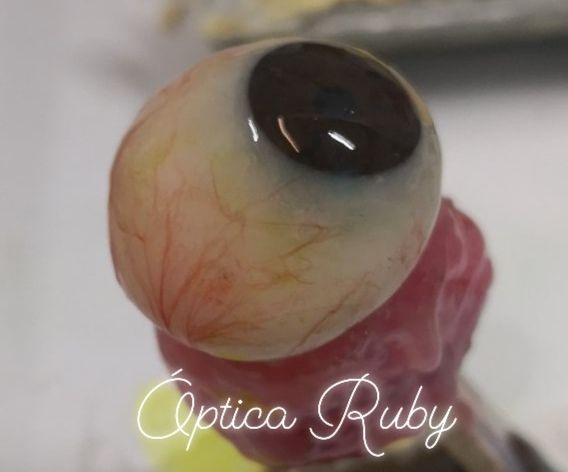 José Julián Chávez Cázares-3