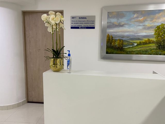 Ricardo Angel Canseco Flores-3