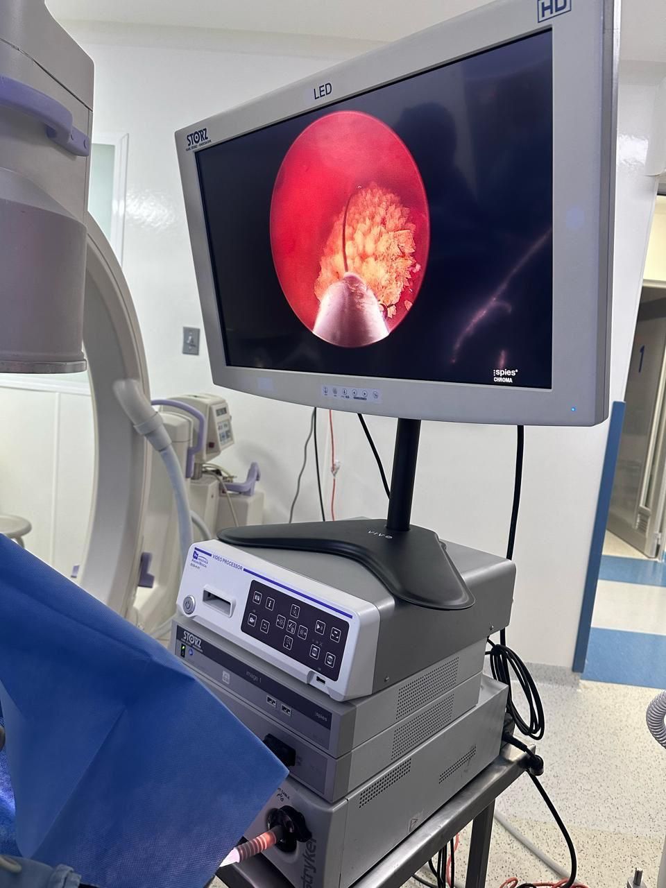 Francisco Emmanuel Navarrete Hernández-29