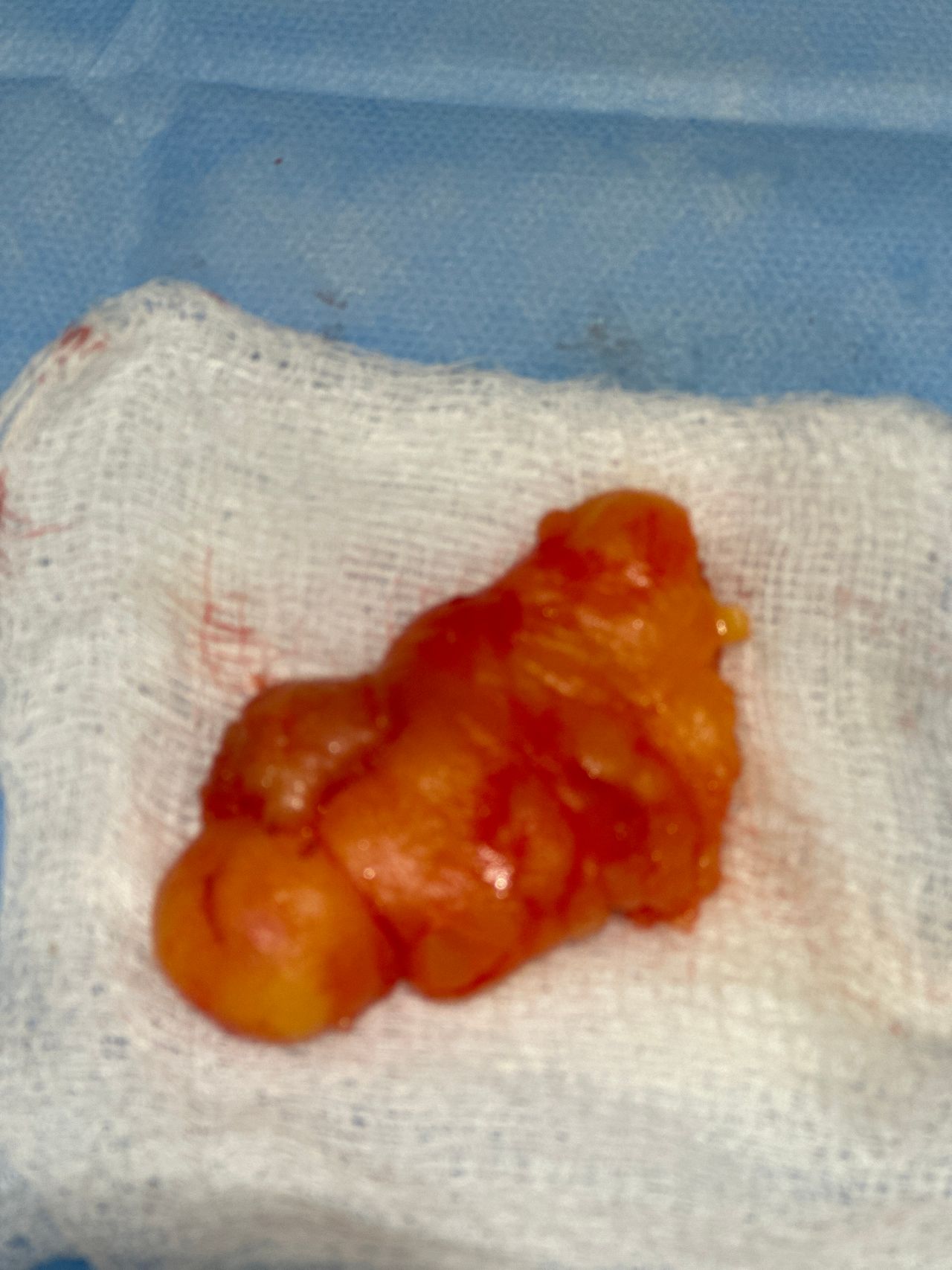 Monica Isabel Clavel Nicolas-9