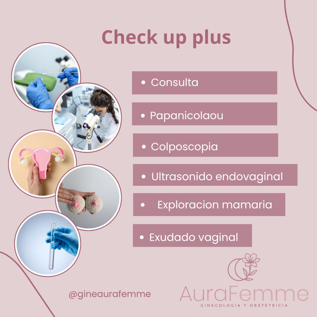 Aline Bermúdez Nájera-4