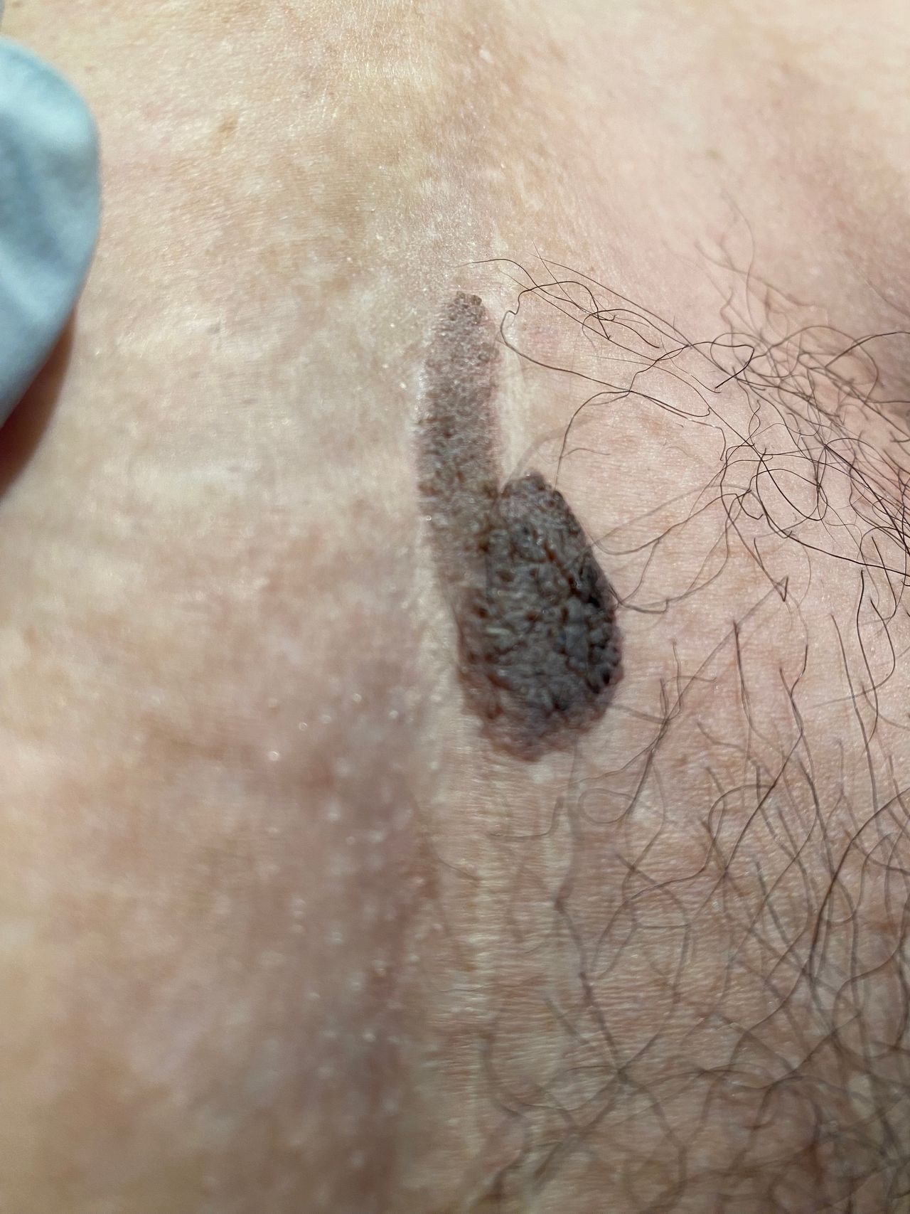 Lilia Gutierrez Franco-6