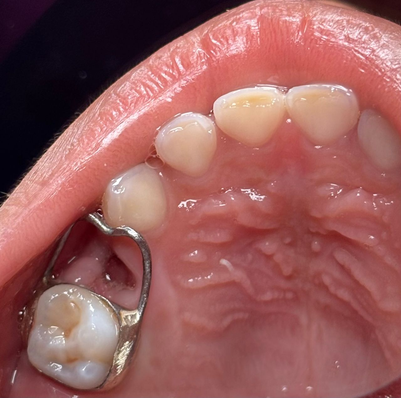 María Paula  Flores Novoa-59