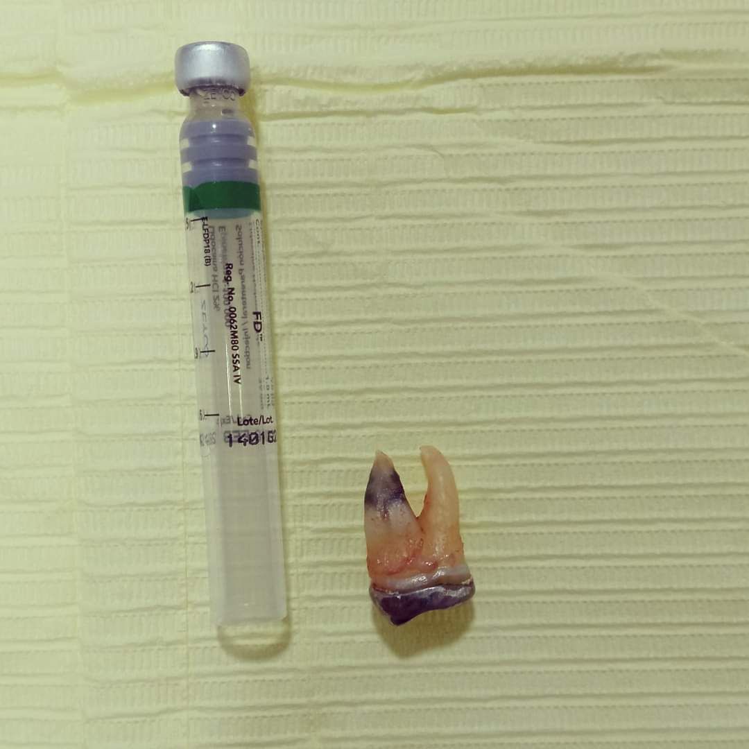 Jacqueline Nuñez Herrera-12