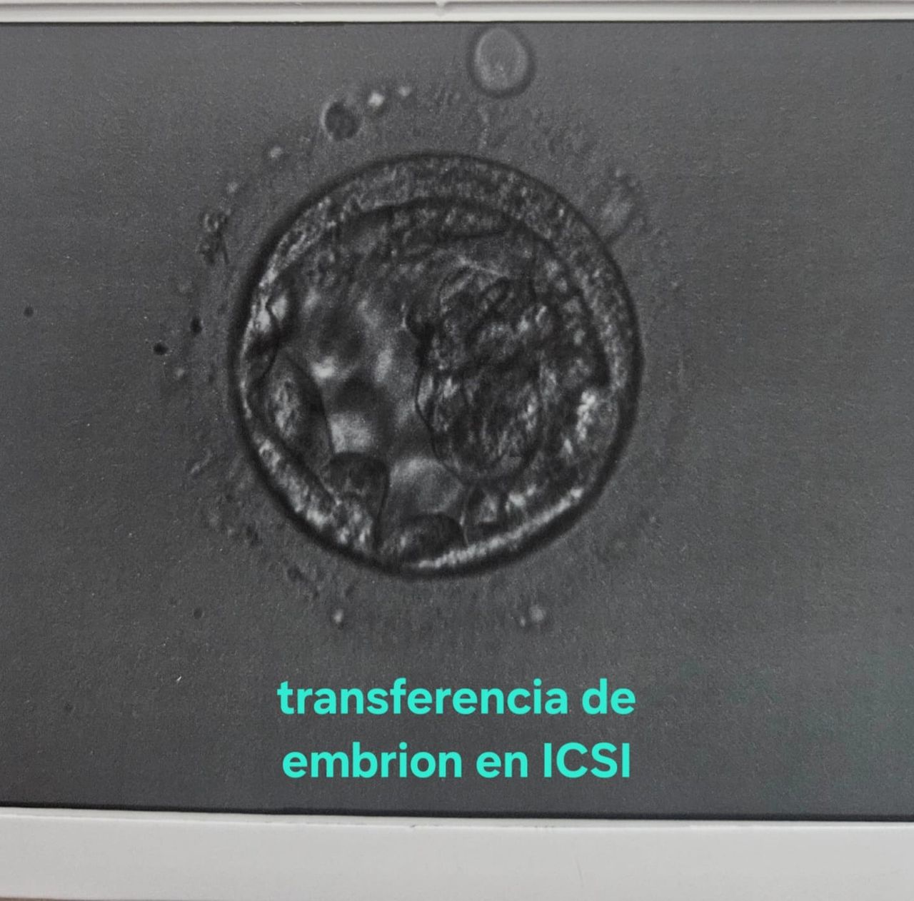 Jorge Alberto Rodriguez Pezino-45