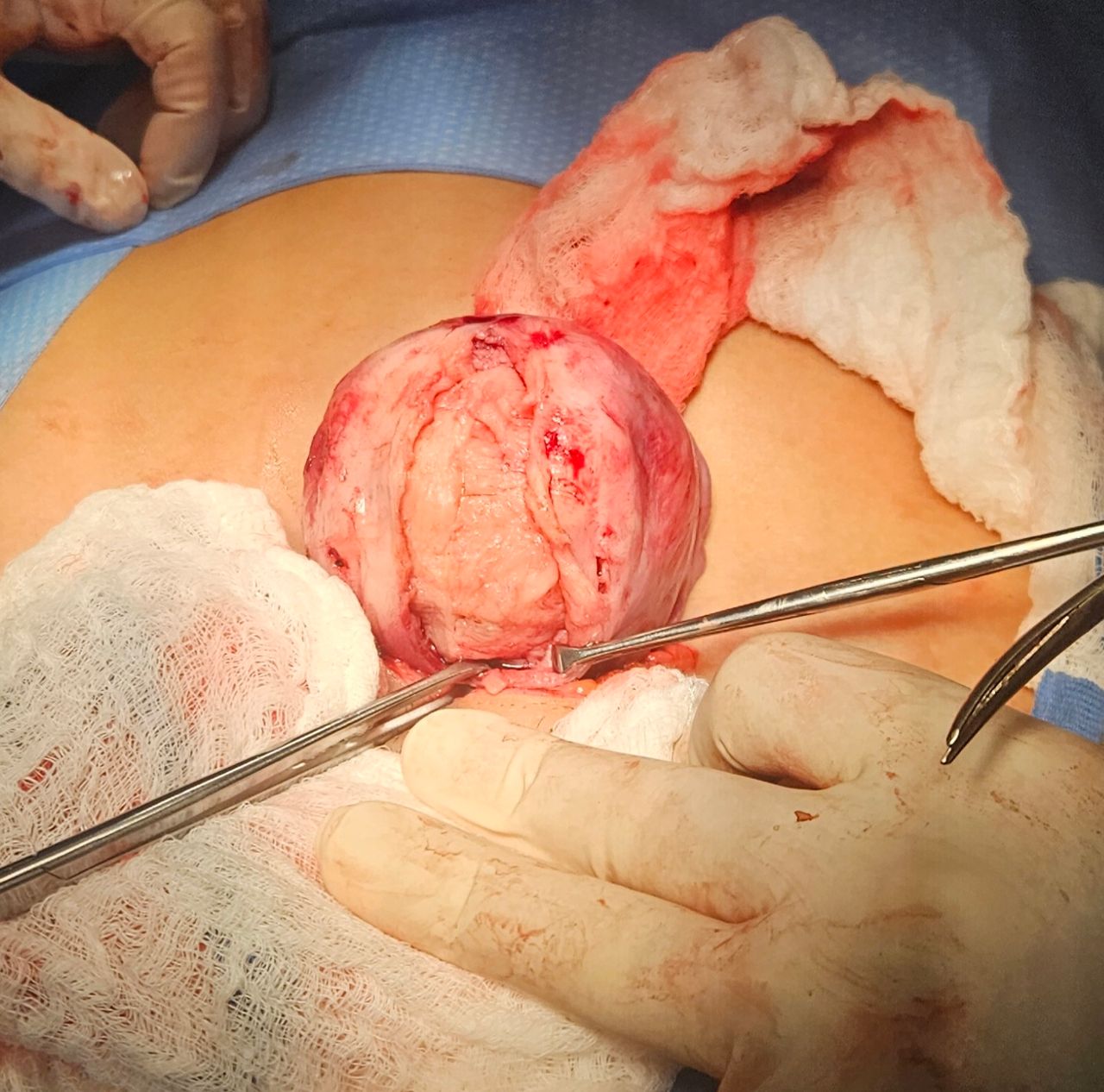 Jorge Alberto Rodriguez Pezino-4