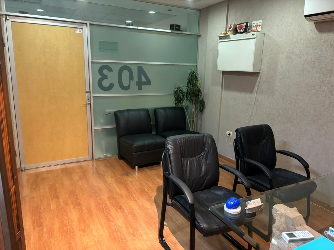 Victoria Matilde Cerino Palomino-1