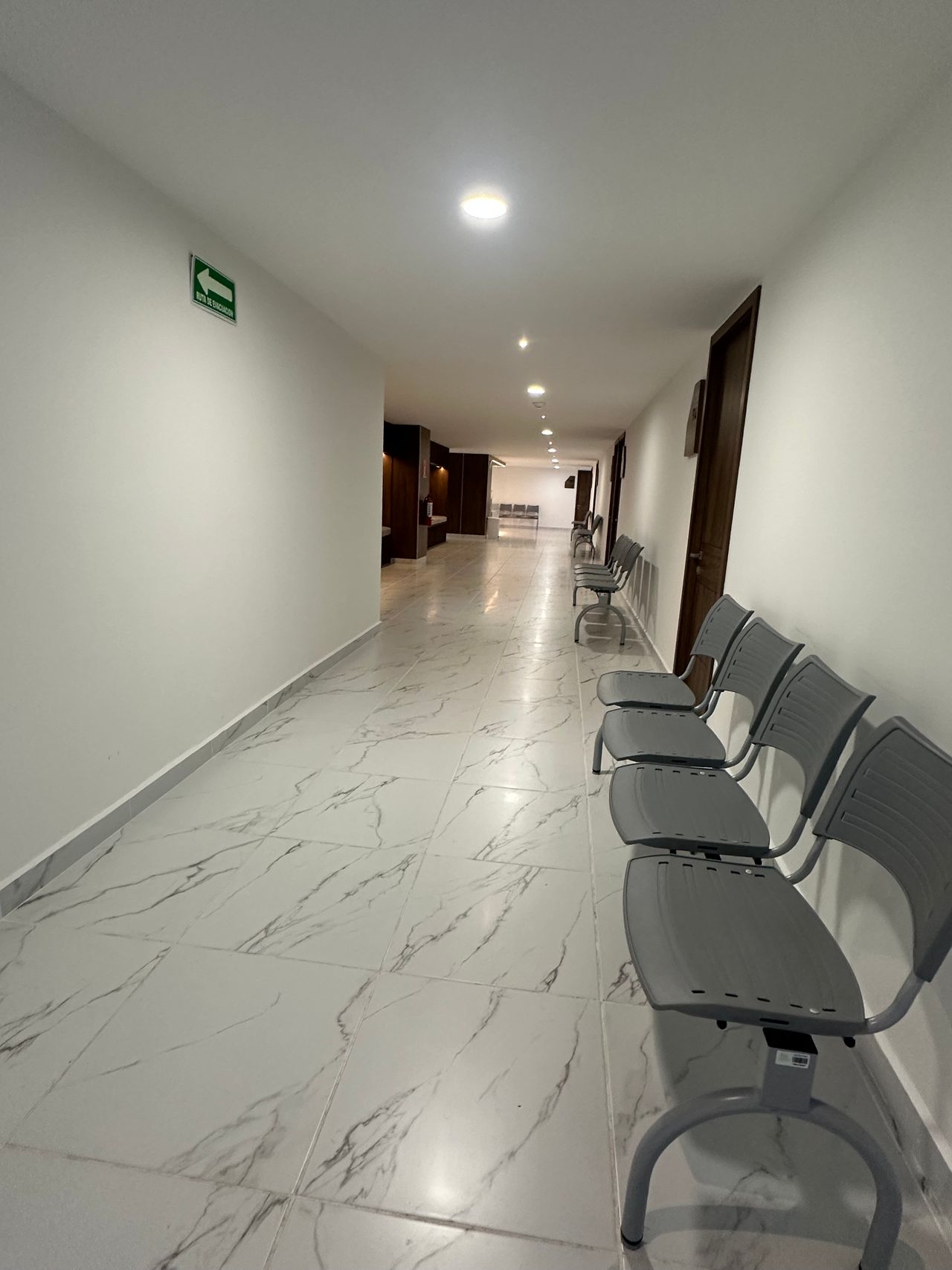 Alejandra Bravo Figueroa-1