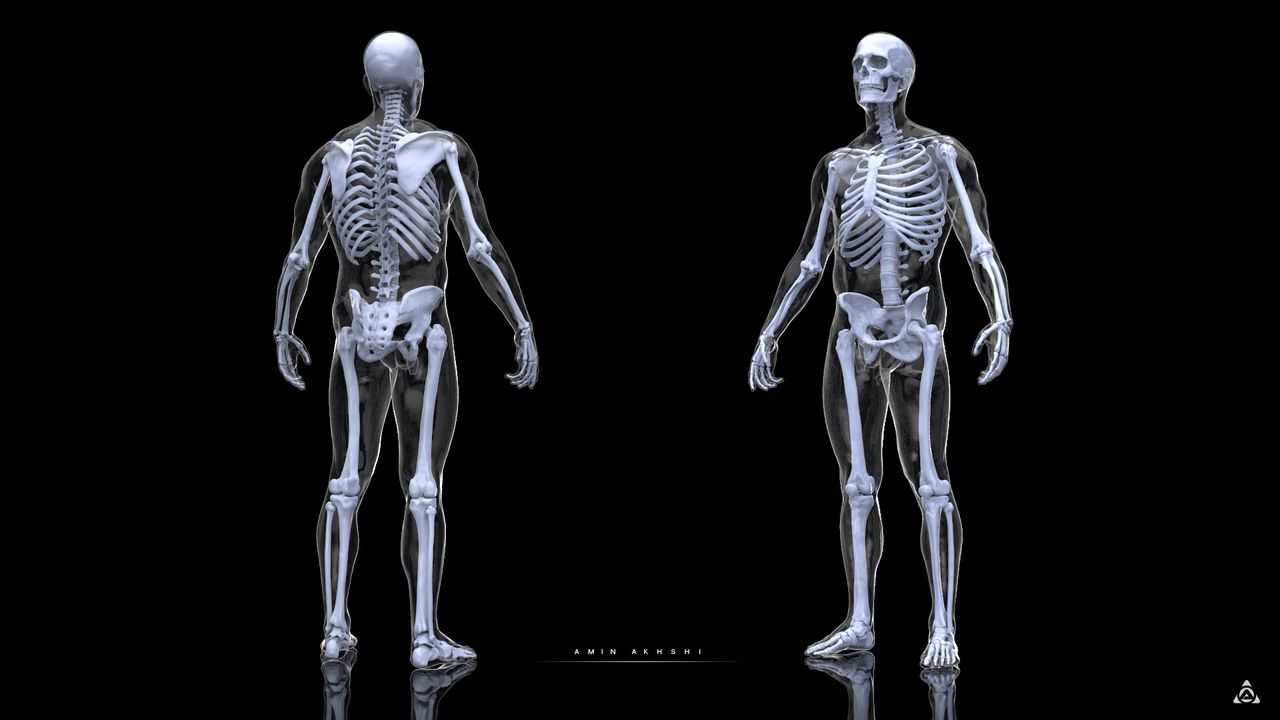 José Sayavedra Jaimes-37