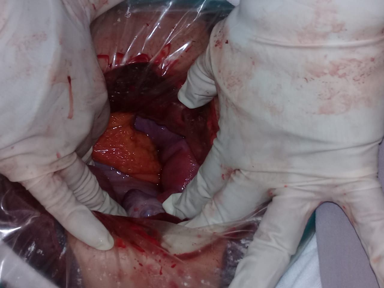 Maria Magdalena Enriquez Perez-1