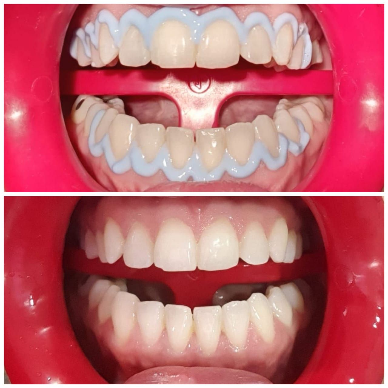 Alejandro Angelo López Díaz-4