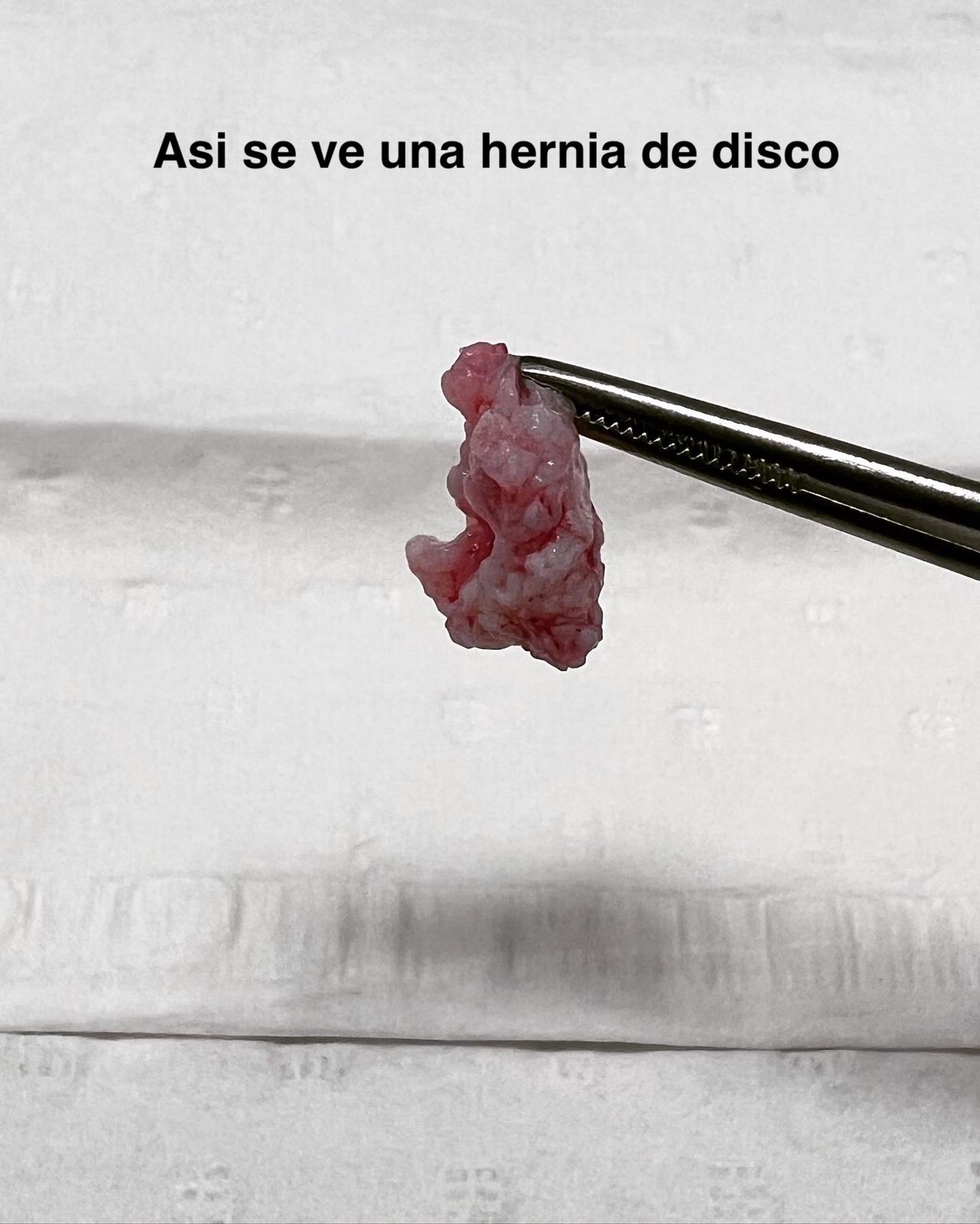 José Luis Sánchez Arellano-18