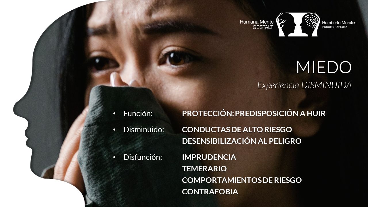 José Humberto Morales Galindo-15