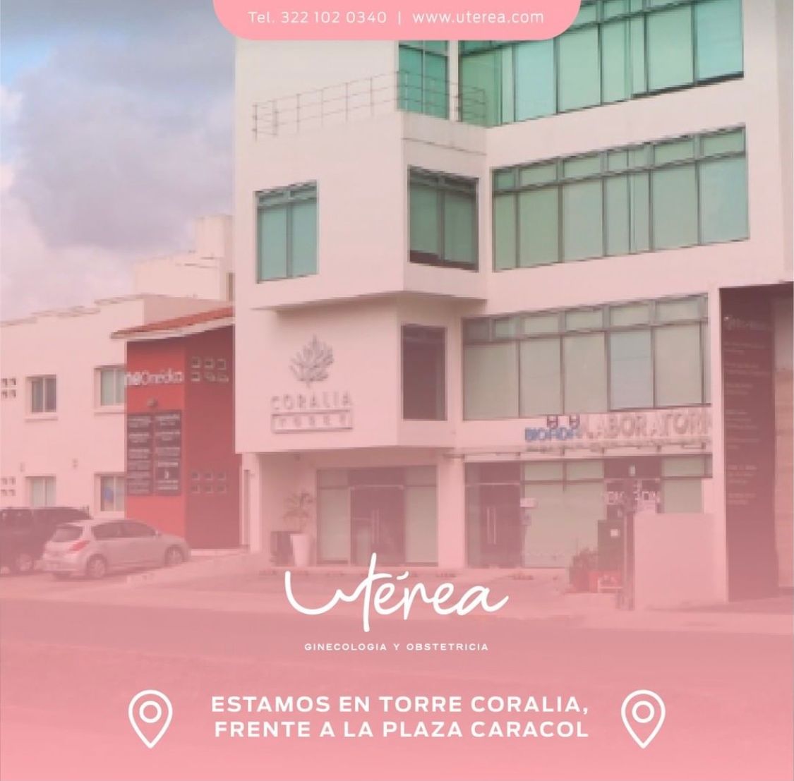 Grecia Corona Montenegro-4